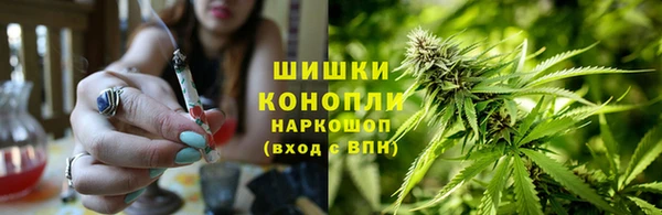 прущие грибы Кулебаки
