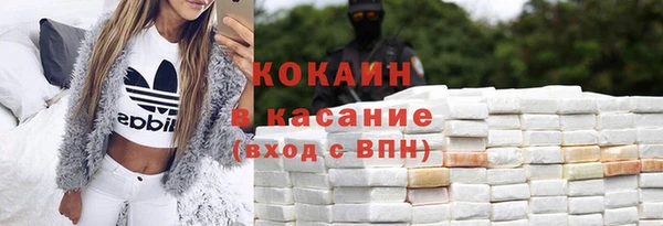 прущие грибы Кулебаки