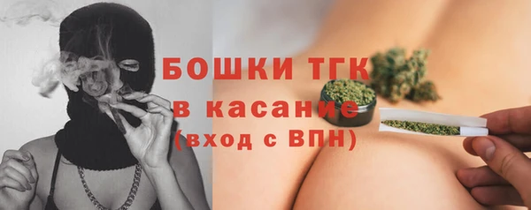 индика Лабытнанги