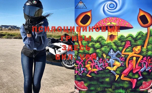 тгк Ладушкин