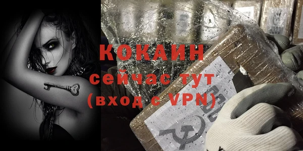 индика Лабытнанги