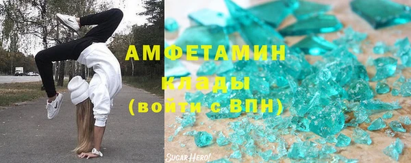 сатива Кукмор