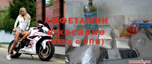 прущие грибы Кулебаки