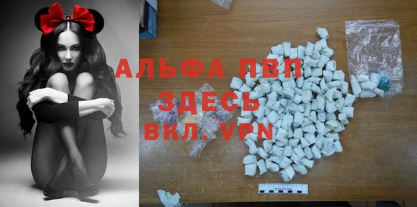 индика Лабытнанги