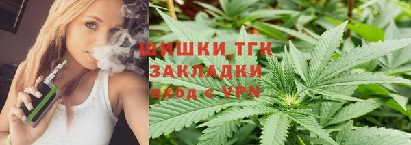 индика Лабытнанги