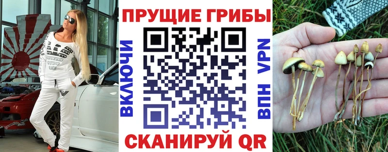 ОМГ ОМГ tor  цены   Нестеровская  Псилоцибиновые грибы Magic Shrooms 