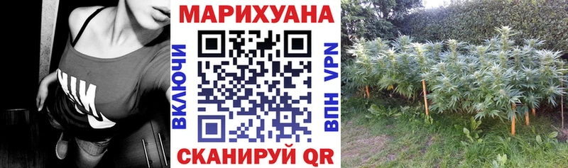 Шишки марихуана гибрид  Нестеровская 